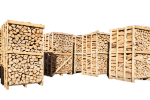 Brennholz Brandenburg kaufen