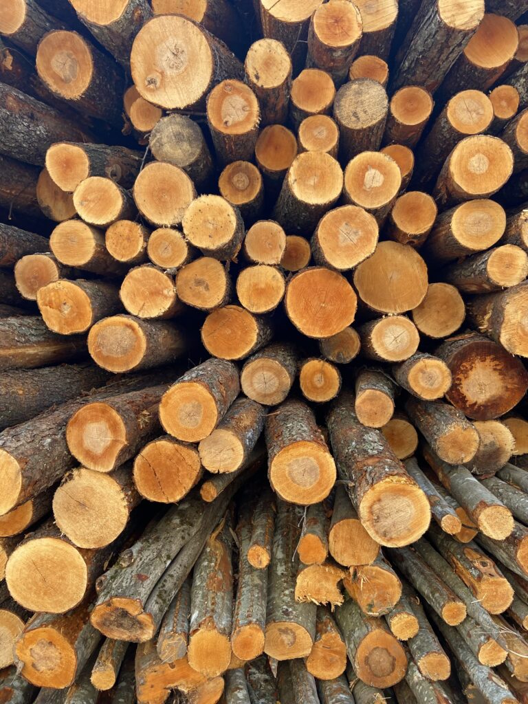 Kammergetrocknetes Brennholz – gleichmäßig gespaltenes und sauber gestapeltes Nadelholz.